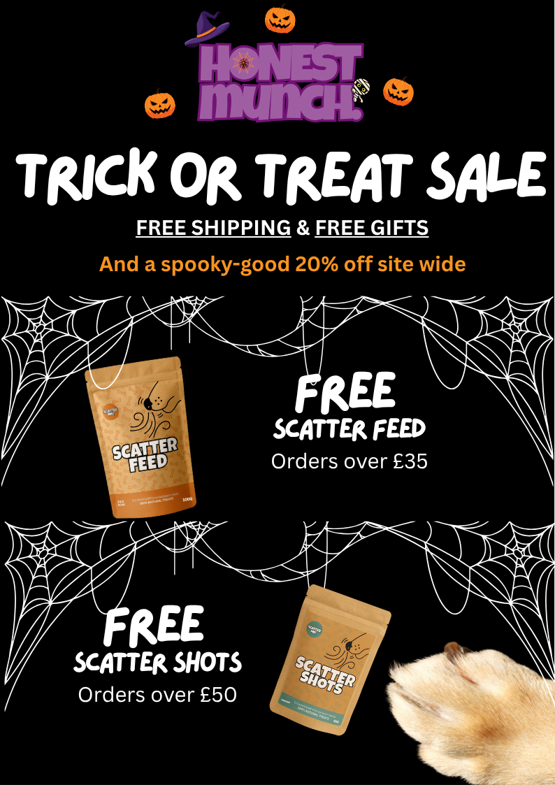 Haunted Hunt Bundle π