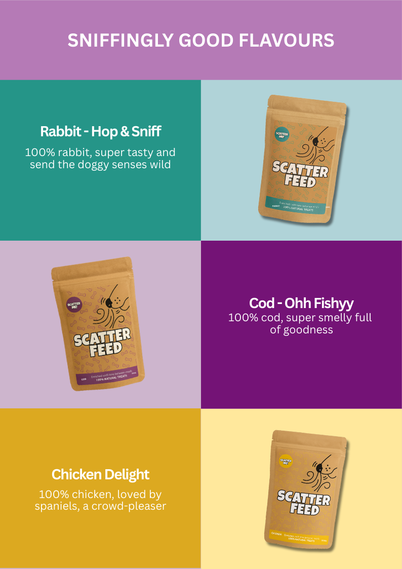 100% Natural Gently Air-Dried Scatter Feed - 4-pack