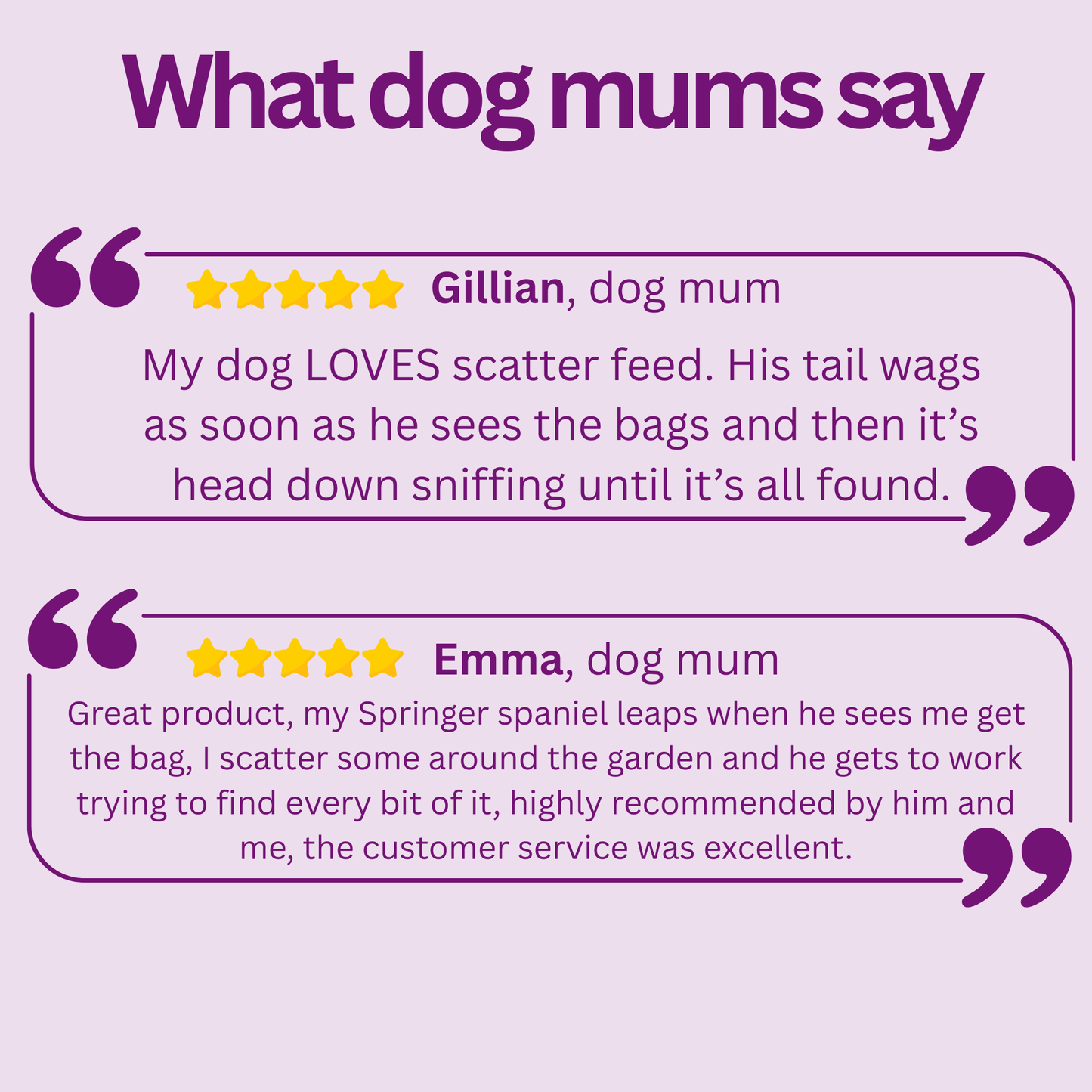 Scatter Feed - Sniff Food
