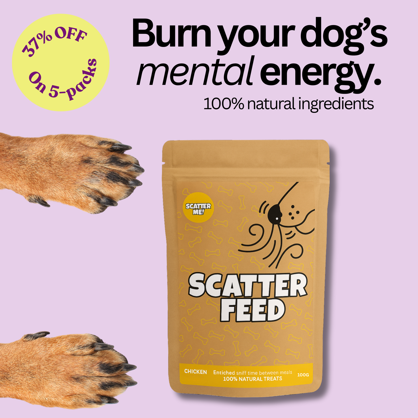 Scatter Feed - Sniff Food