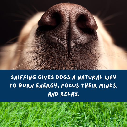 Scatter Feed 3x Mixed Pack