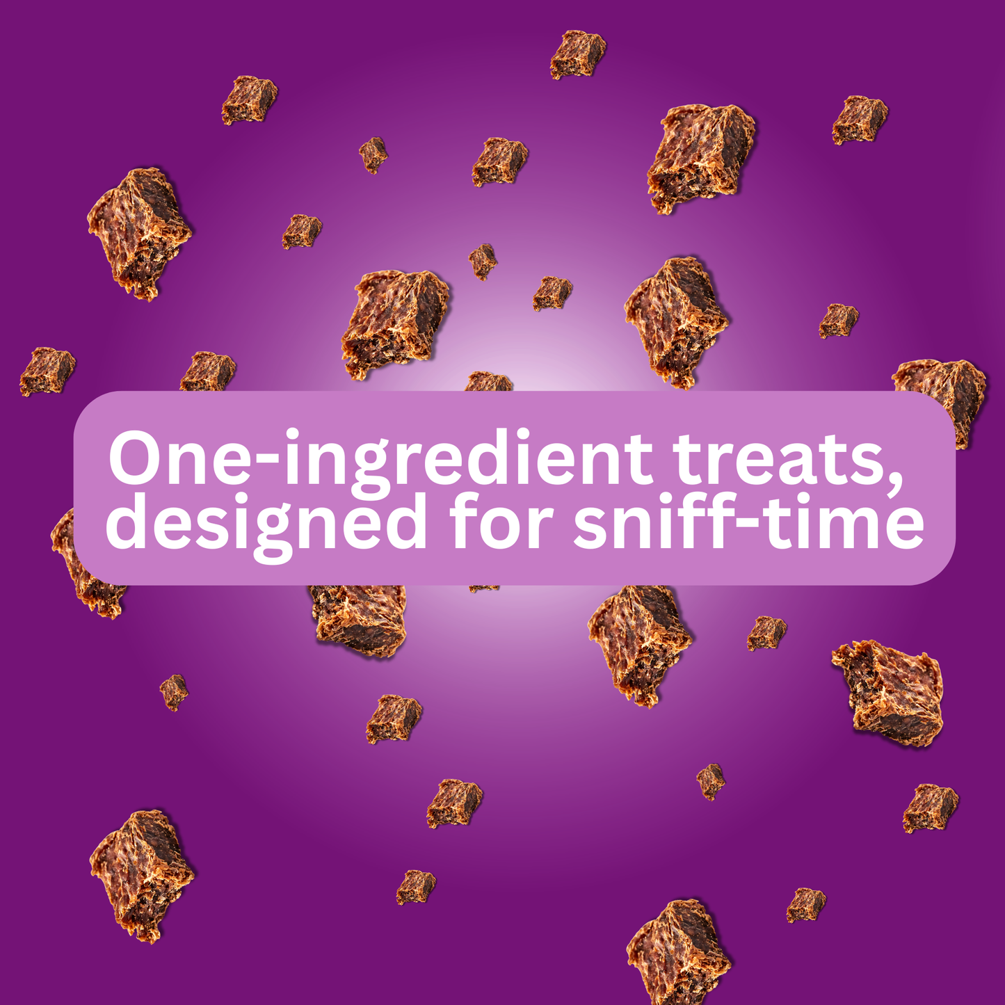 Scatter Feed - 4 pack (mixed)