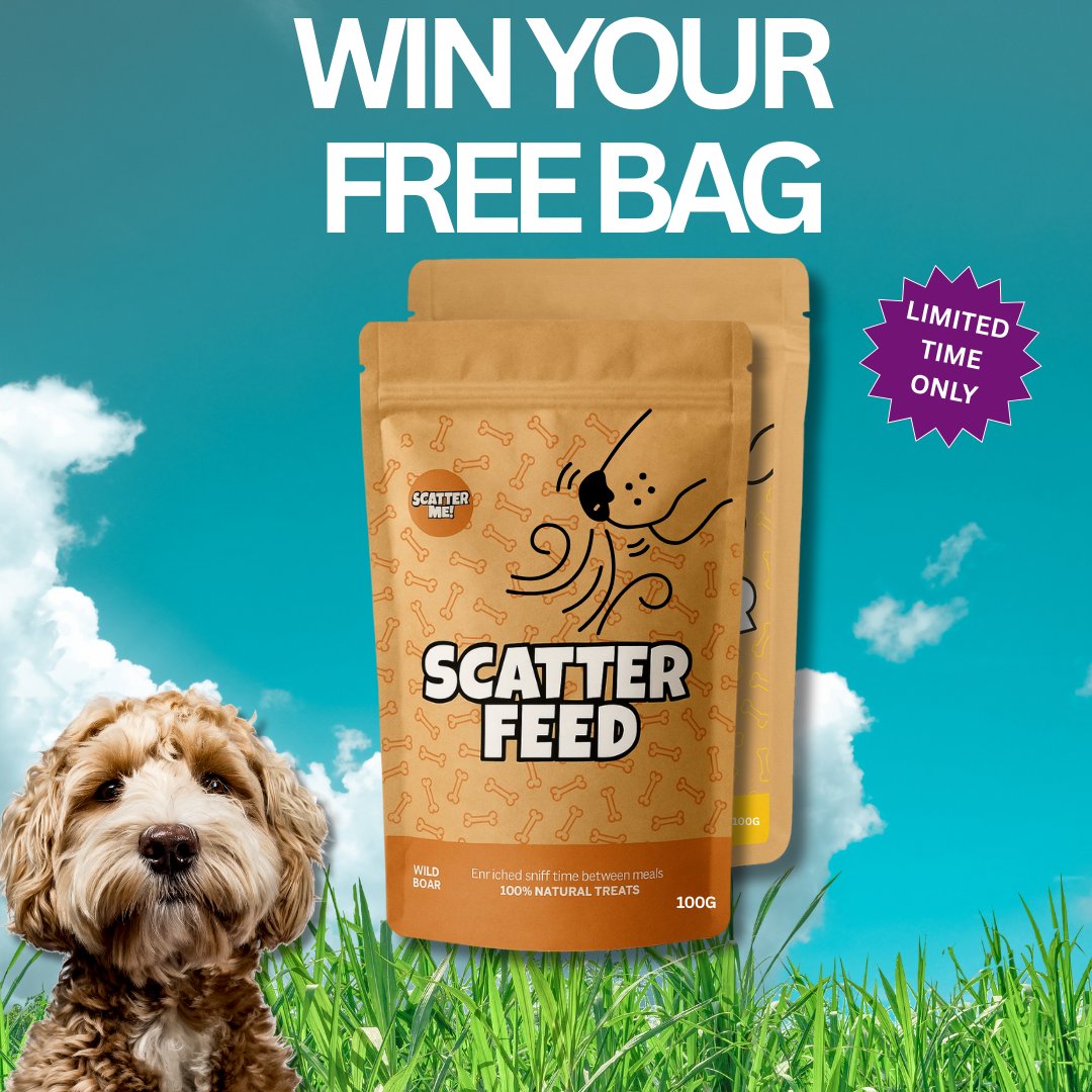 Your FREE Scatter Feed Bag (Only 20 Available Today!) (Worth £8.99)
