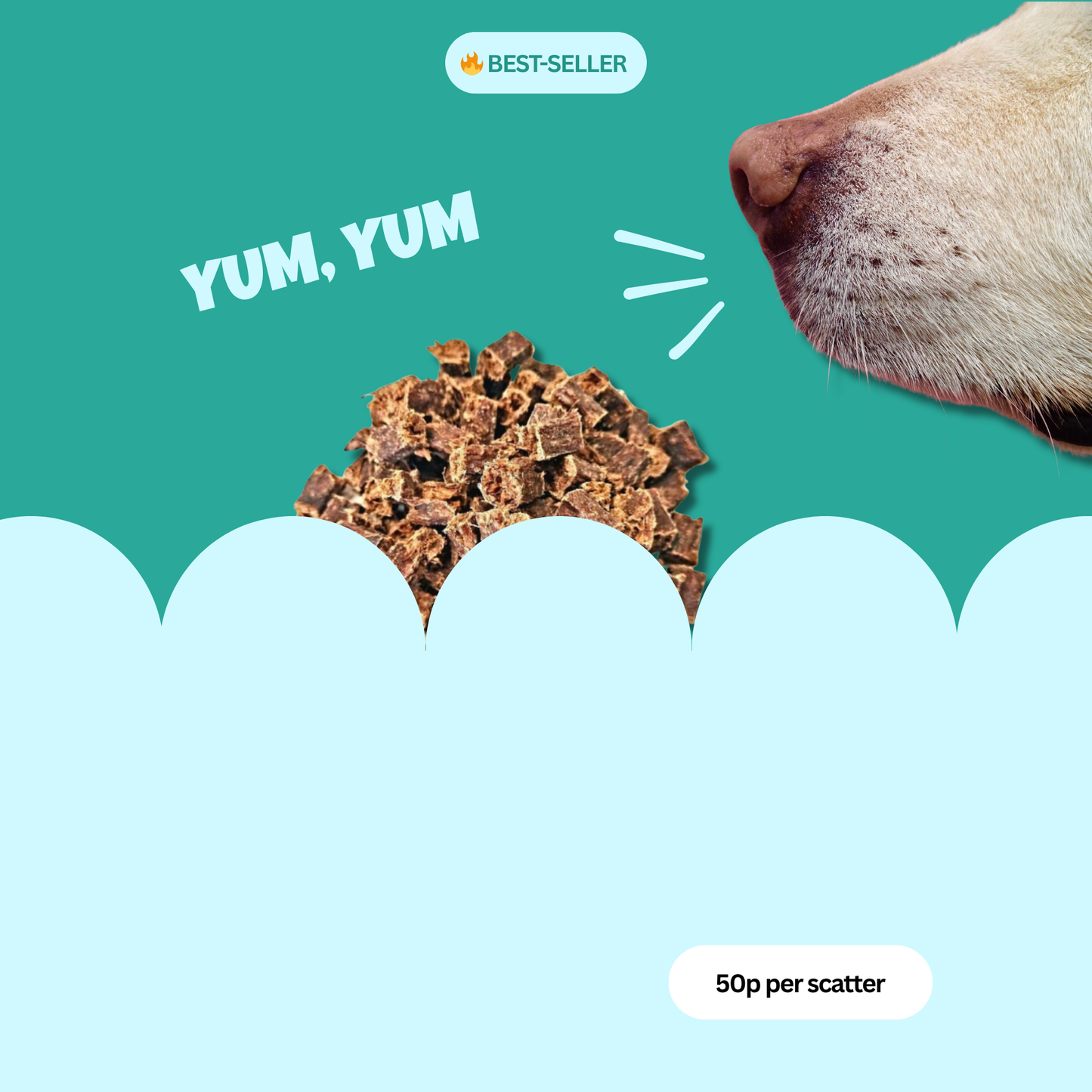 Scatter Feed - Hop & Sniff π