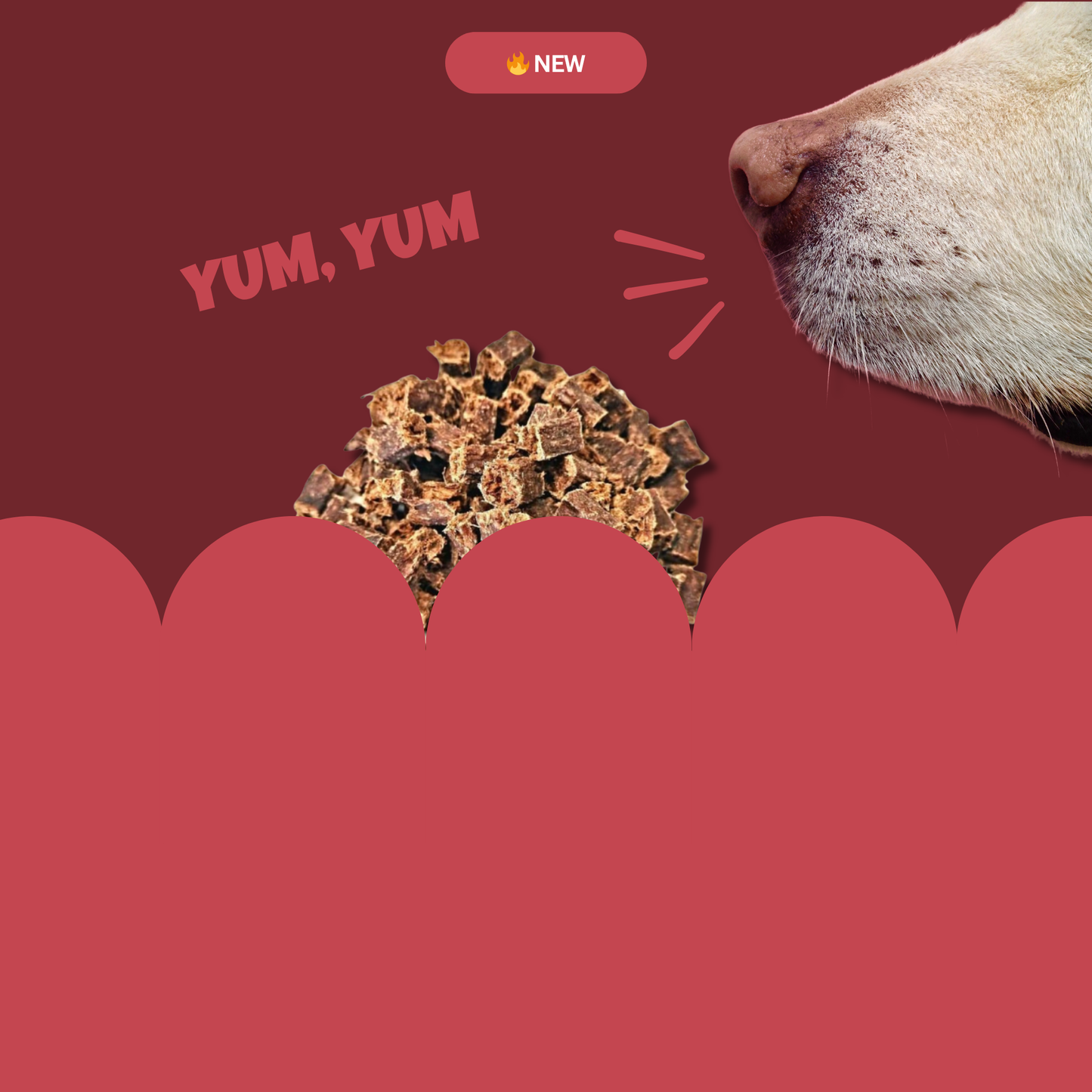 Scatter Feed - Lamb