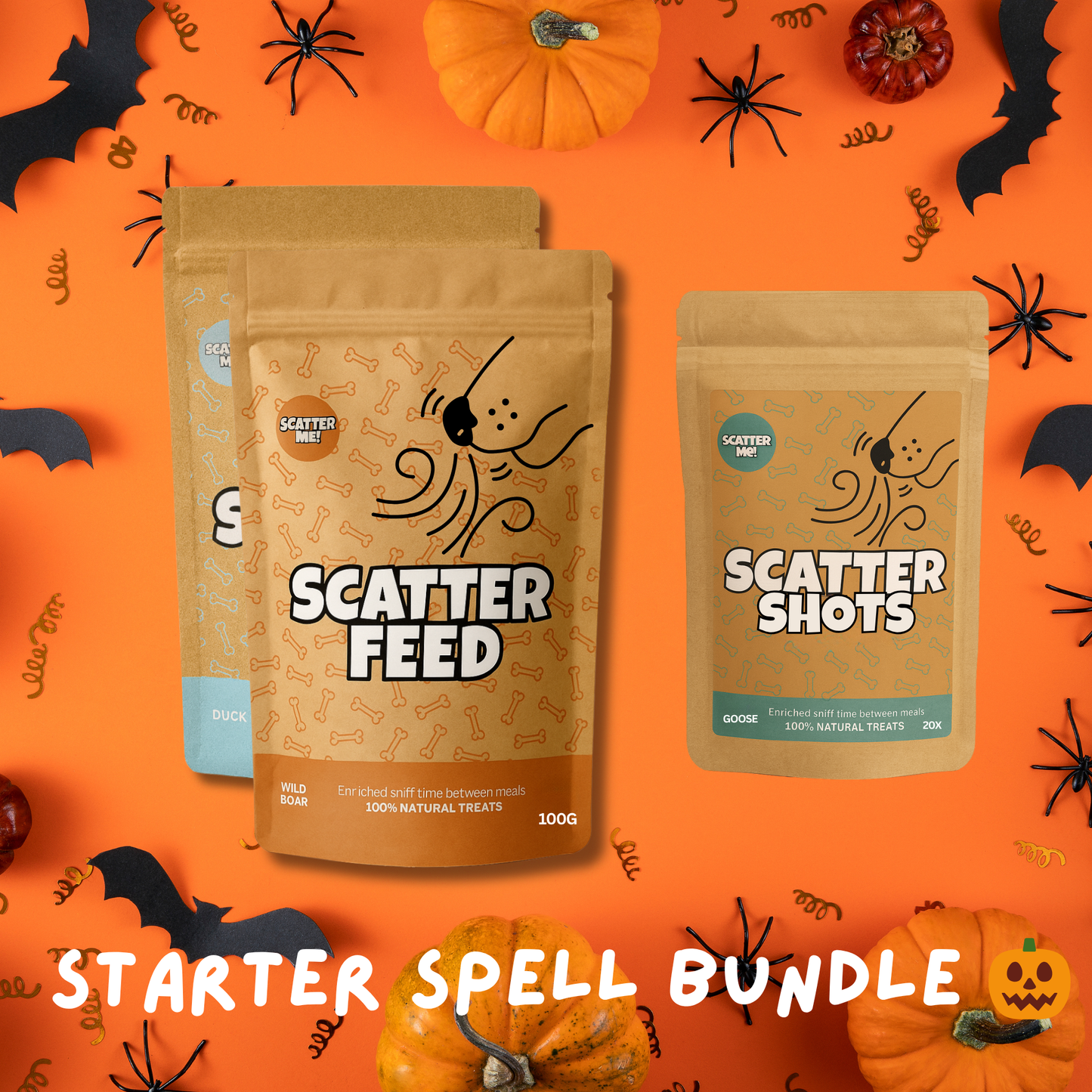 Starter Spell Bundle 🧙♀️