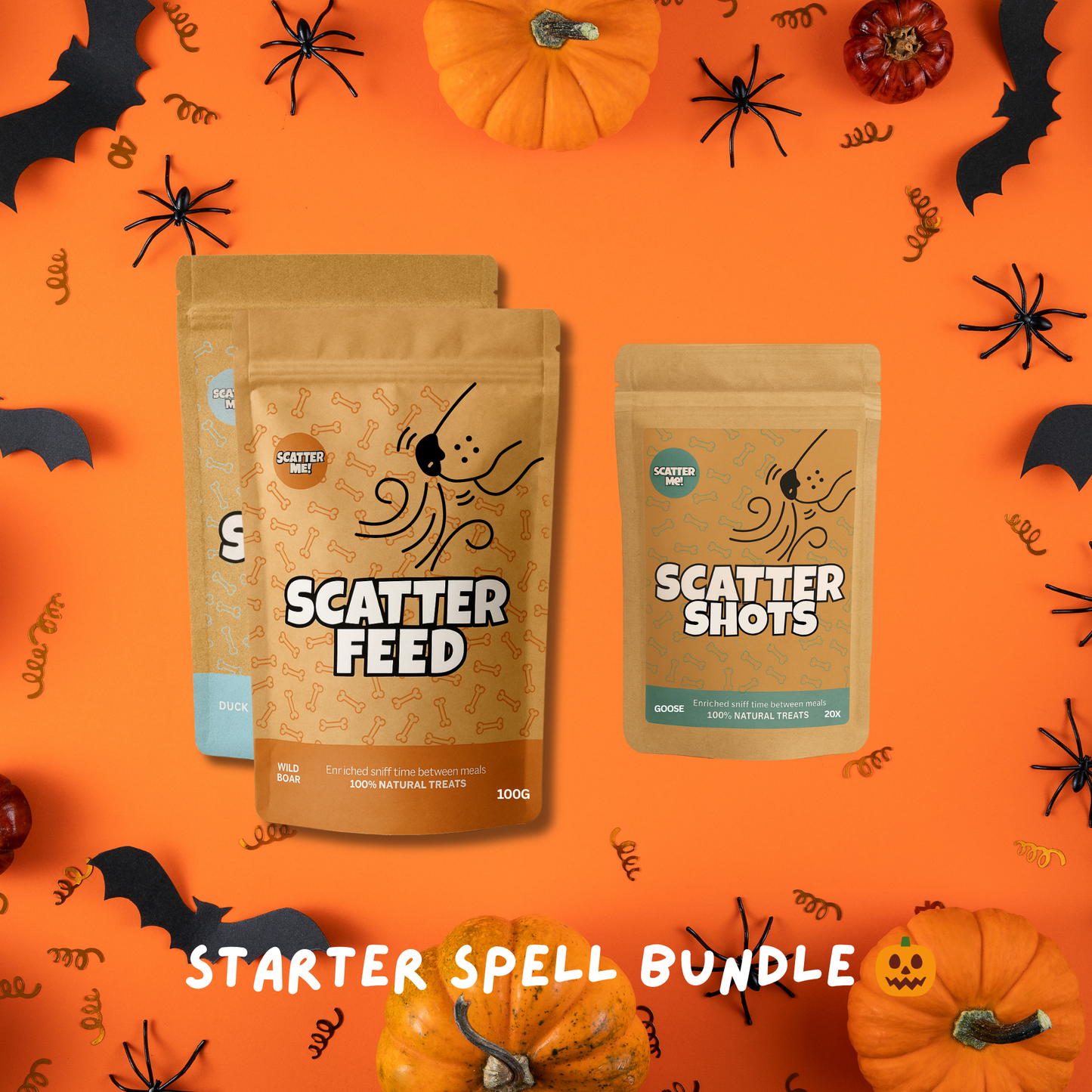 Starter Spell Bundle 🧙♀️