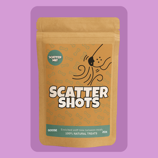 Scatter Shots