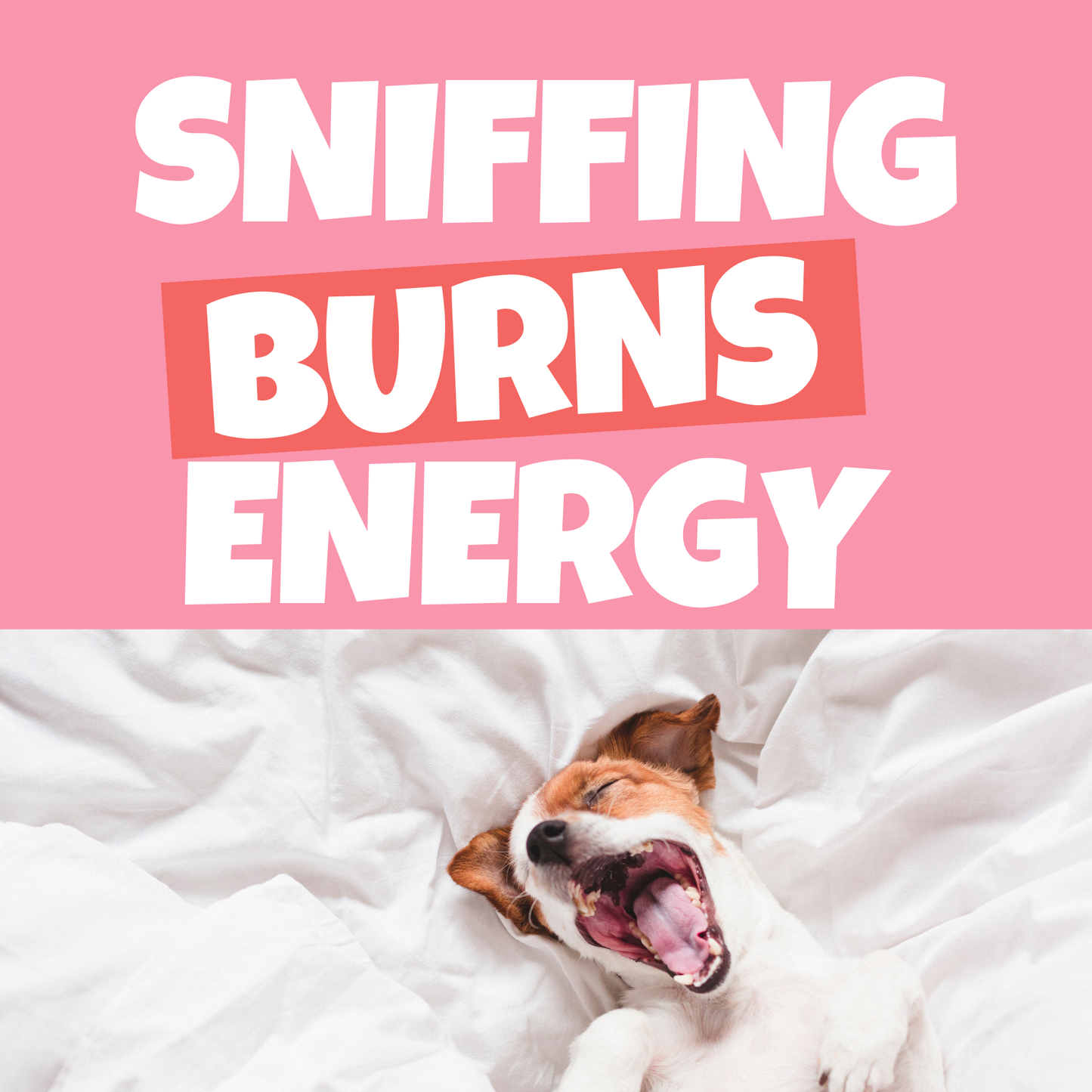 Valentines Day Bundle 💗