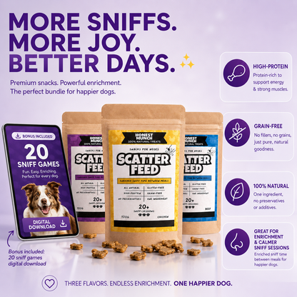 Sniff Starter Bundle