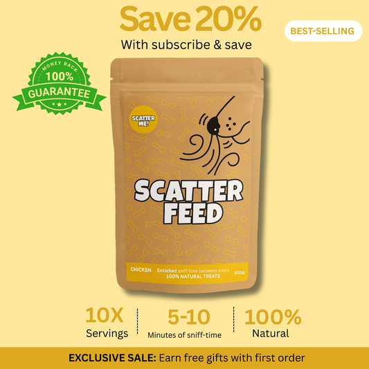 Scatter Feed - Sniff Food