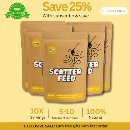 Scatter Feed - Sniff Food