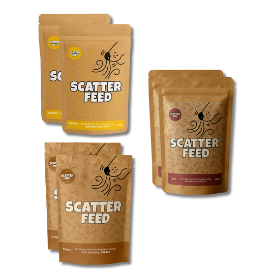 Scatter Feed - 6-Pack (Sniffing Pack)