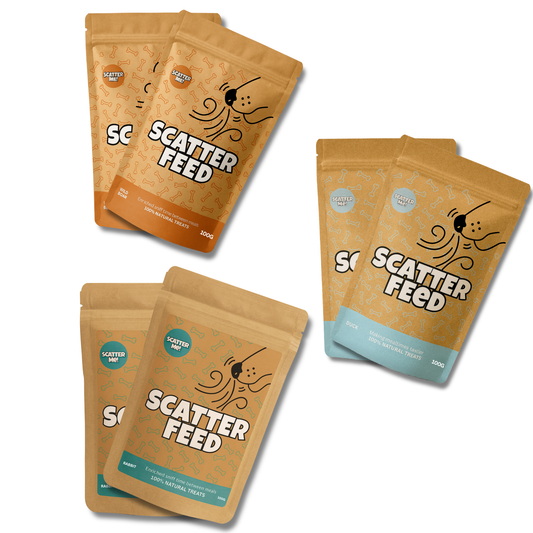 Scatter Feed 6-Pack - The Wild Mix