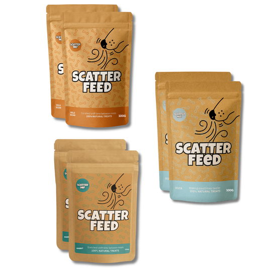 Scatter Feed 6-Pack - The Wild Mix