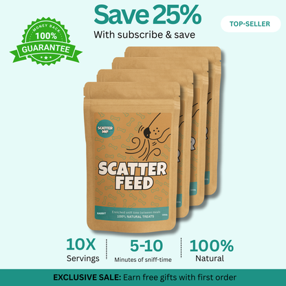 Scatter Feed - Sniff Food