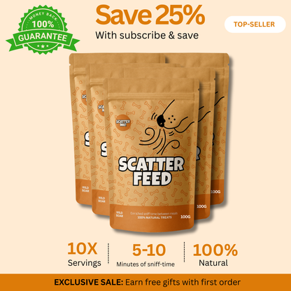 Scatter Feed - Sniff Food