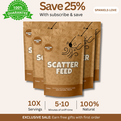 Scatter Feed - Sniff Food