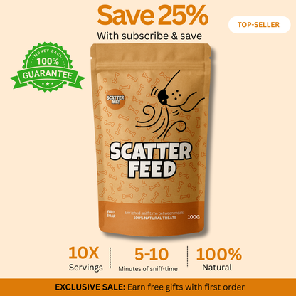 Scatter Feed - Sniff Food