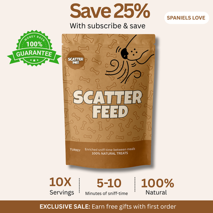 Scatter Feed - Sniff Food