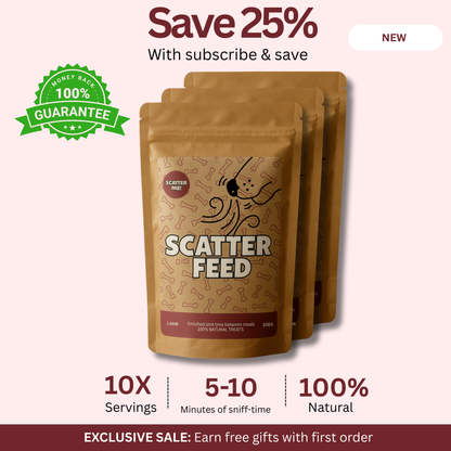 Scatter Feed - Sniff Food