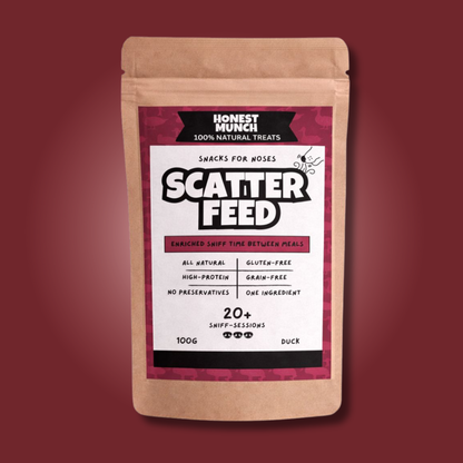 Duck Scatter Feed 🦆