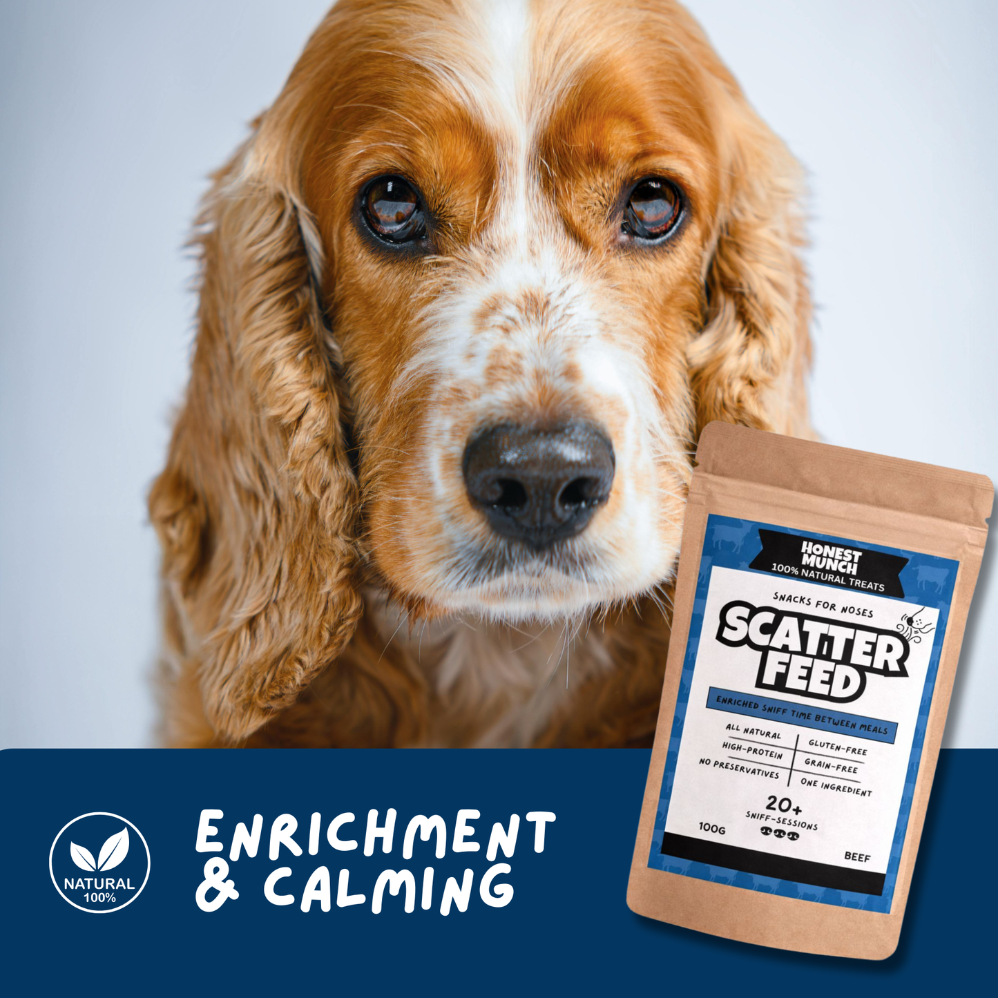 Beefy Scatter Feed 🐄