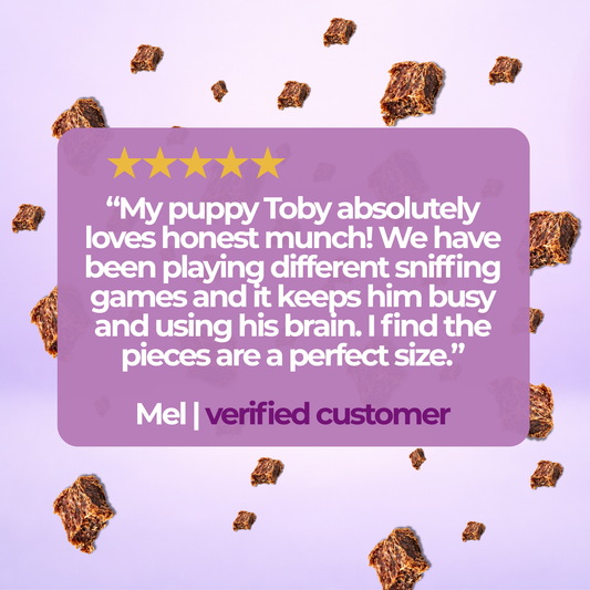 3-Pack Sniffing treats for bored, restless & under-stimulated dogs