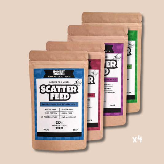 100% Natural Gently Air-Dried Scatter Feed - 4 pack (mixed)