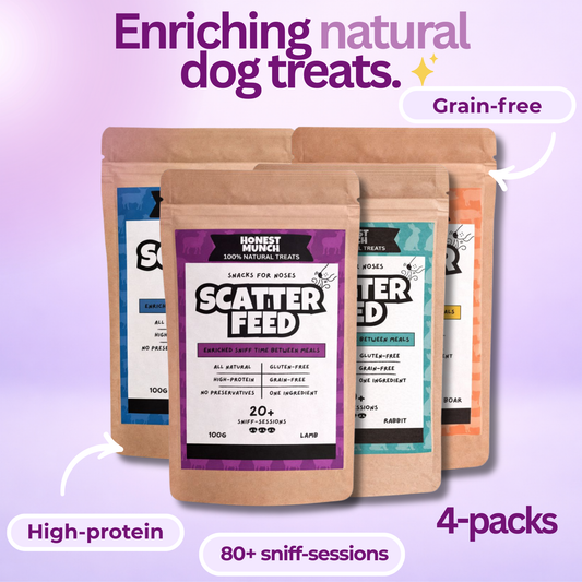 Scatter Feed - 4 pack (mixed)