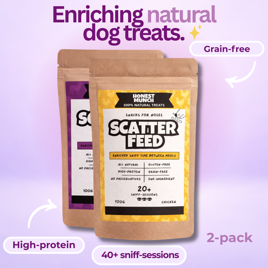 Scatter Feed 2-Pack