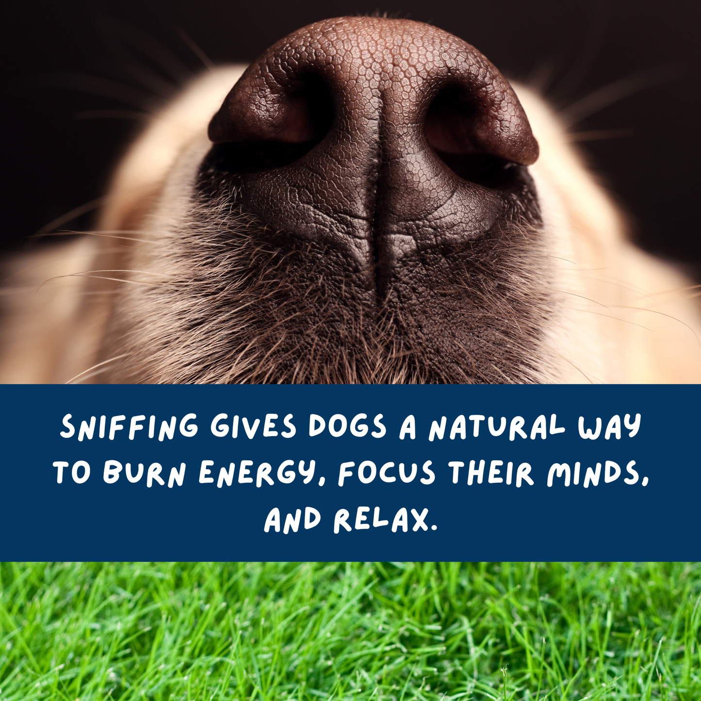 Scatter Feed 3x Mixed Pack