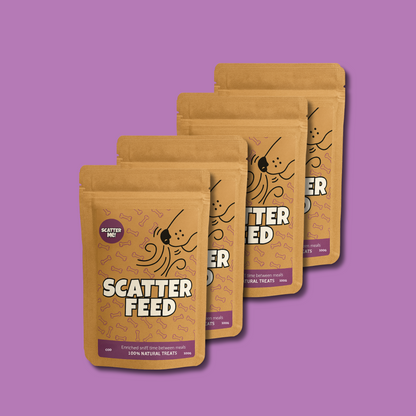 Scatter Feed - 4-pack