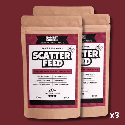 Duck Scatter Feed 🦆