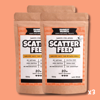 Wild Boar Scatter Feed 🐖