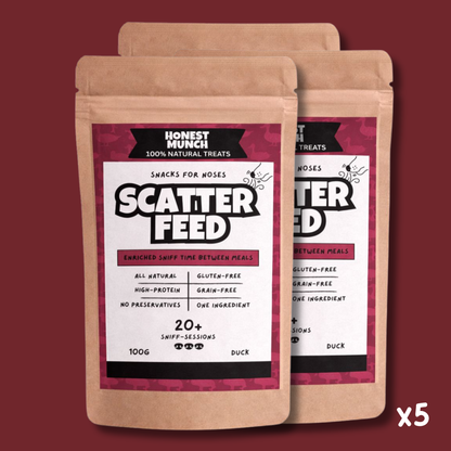 Duck Scatter Feed 🦆