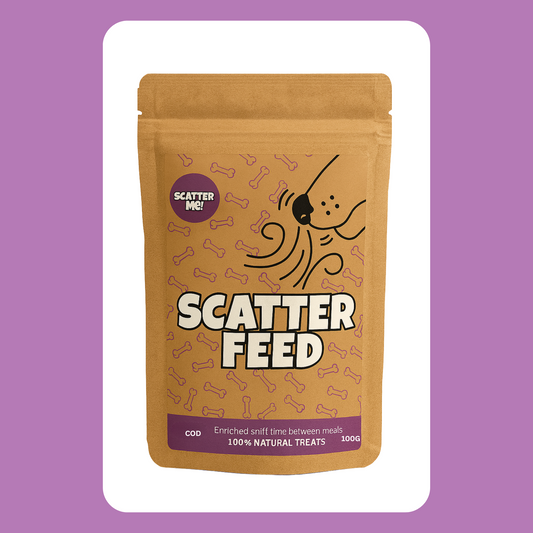 Scatter Feed - Fishy Business 🐟