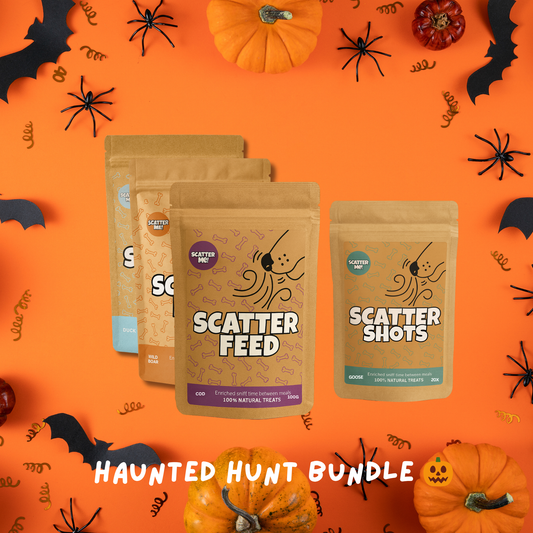 Haunted Hunt Bundle 🎃