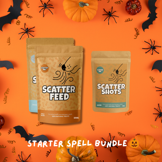 Starter Spell Bundle 🧙♀️