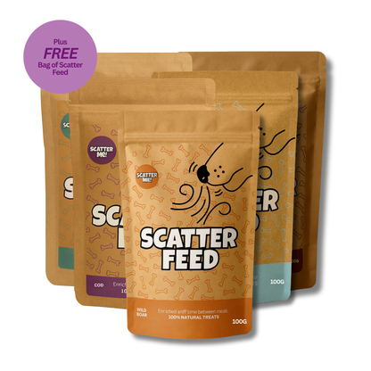 Scatter Feed - 5-pack