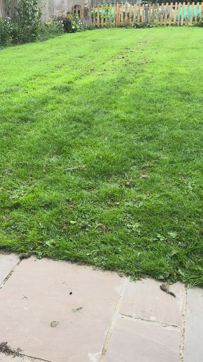 Scatter Feed - Sniff Food